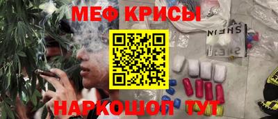 spice Кингисепп