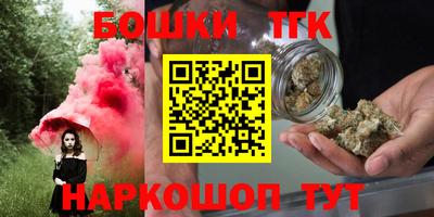 spice Кингисепп