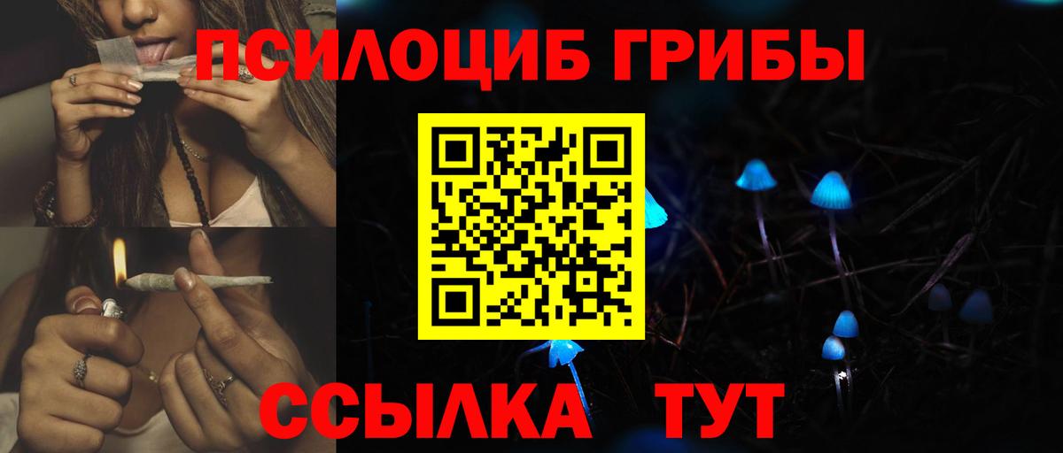 Псилоцибиновые грибы GOLDEN TEACHER Златоуст